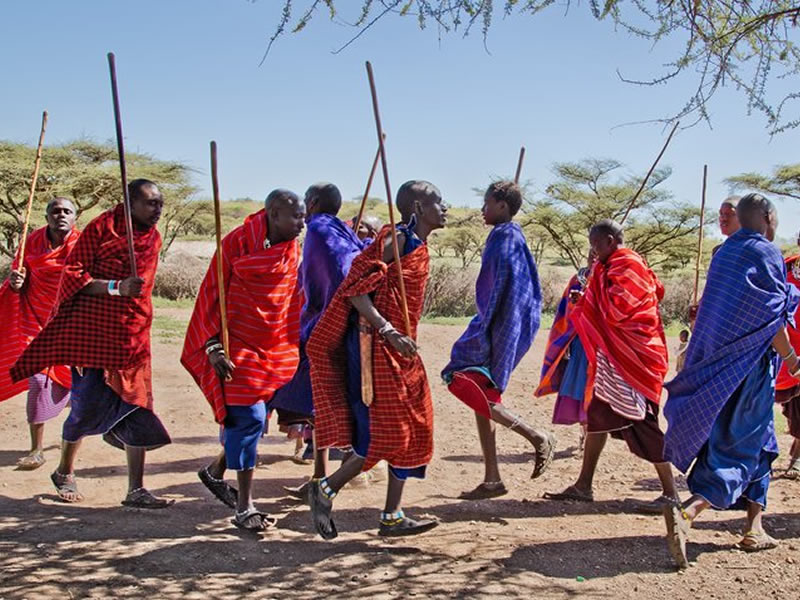 Terrific Tours And Safaris Image