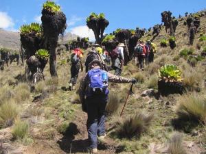 Climbing Mount Kenya along the Naromoru Route.